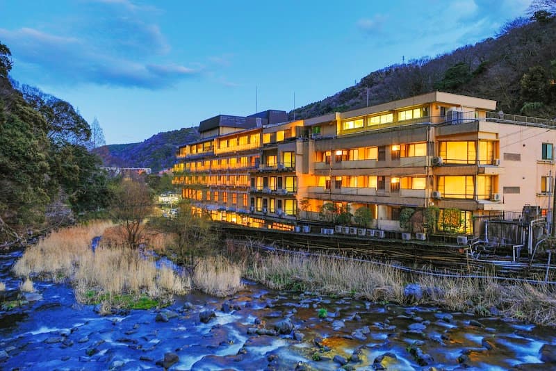 Hakone Pax Yoshino