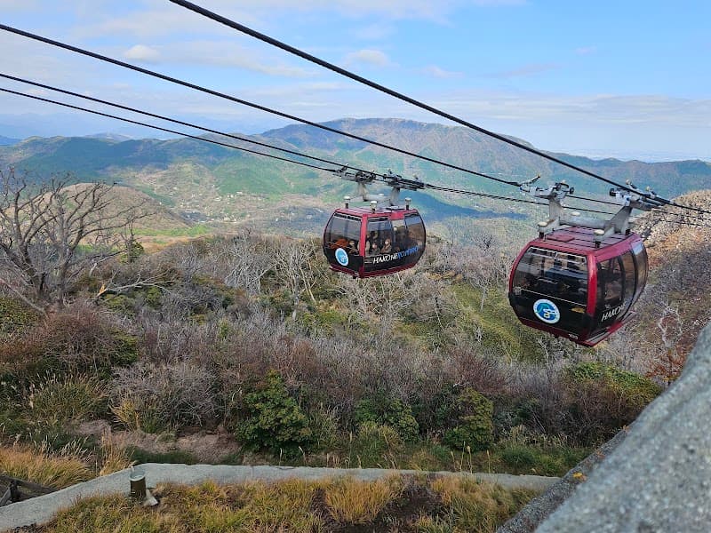 Hakone Ropeway & Owakudani