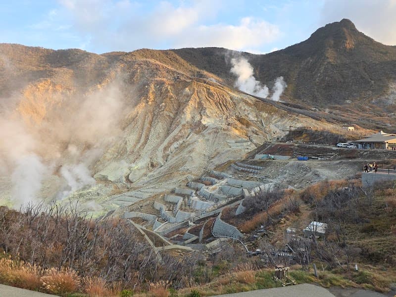 Hakone Ropeway to Owakudani