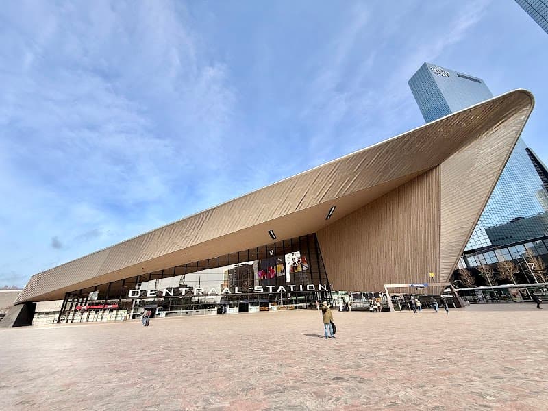 Rotterdam in Bloom: Romantic Cityscape, Green Calm, and Halal Bites