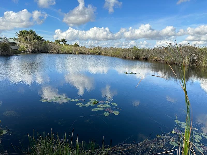 Half-Day Everglades National Park Tour with Airboat and Anhinga Trail