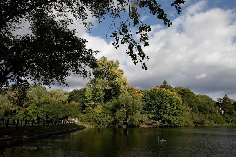 Hampstead Heath Ponds