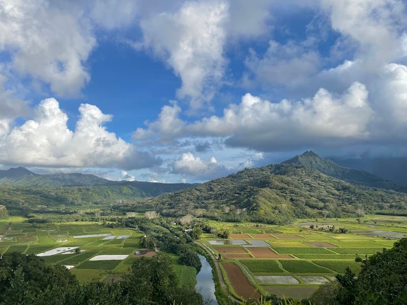Hanalei Valley Lookout