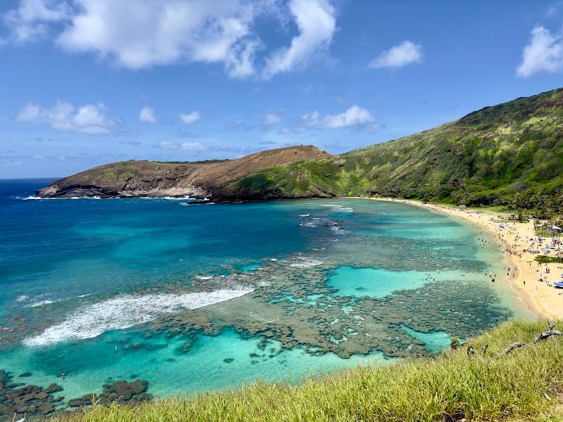 Hanauma Bay Nature Preserve (Snorkeling)