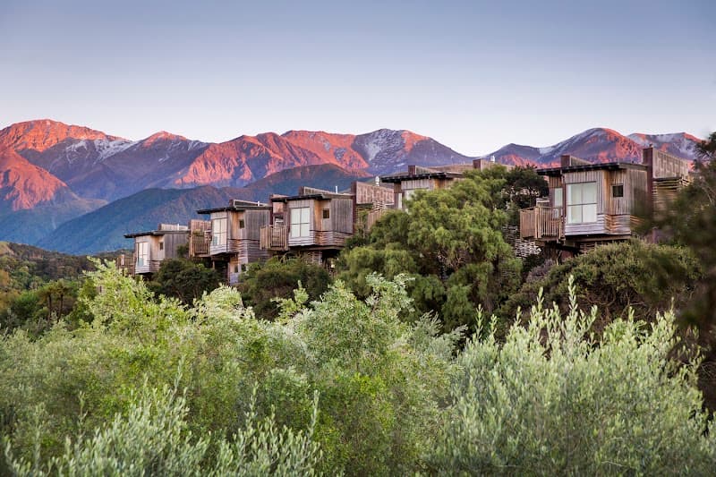 Hapuku Lodge Tree Houses (Luxury Option)