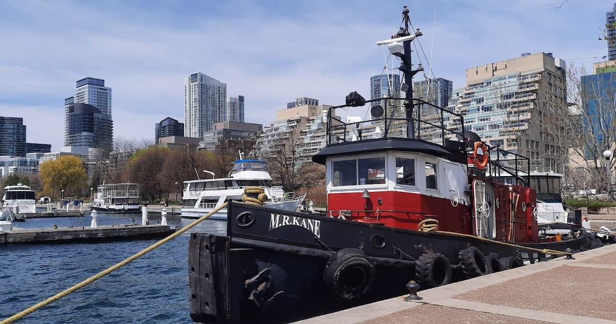 Harbourfront Photography Walk