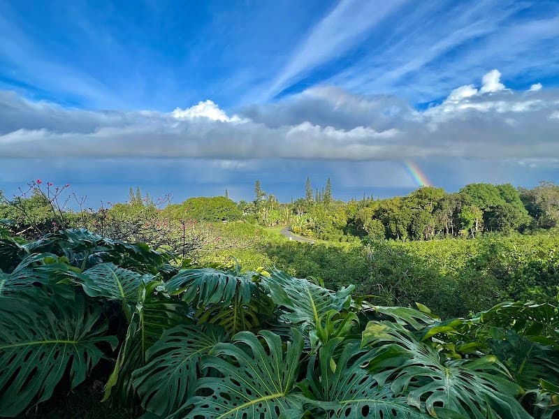 Heavenly Hawaiian Kona Coffee Farm Tours & Konalani Coffee Bar