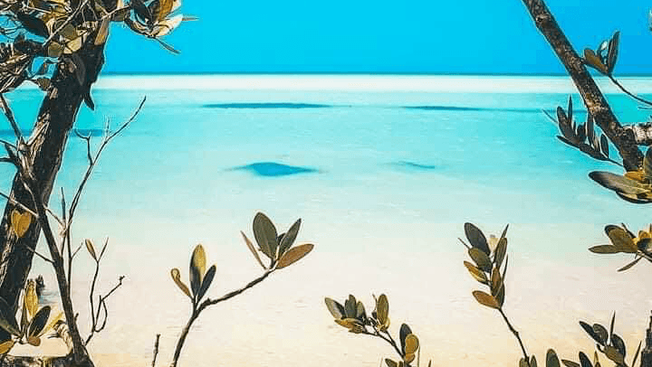 Holbox Centro Orientation Walk