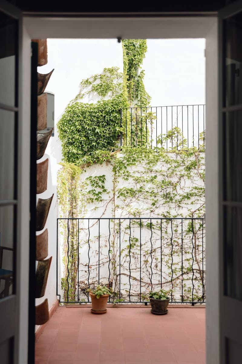 HOME Hotel Menorca