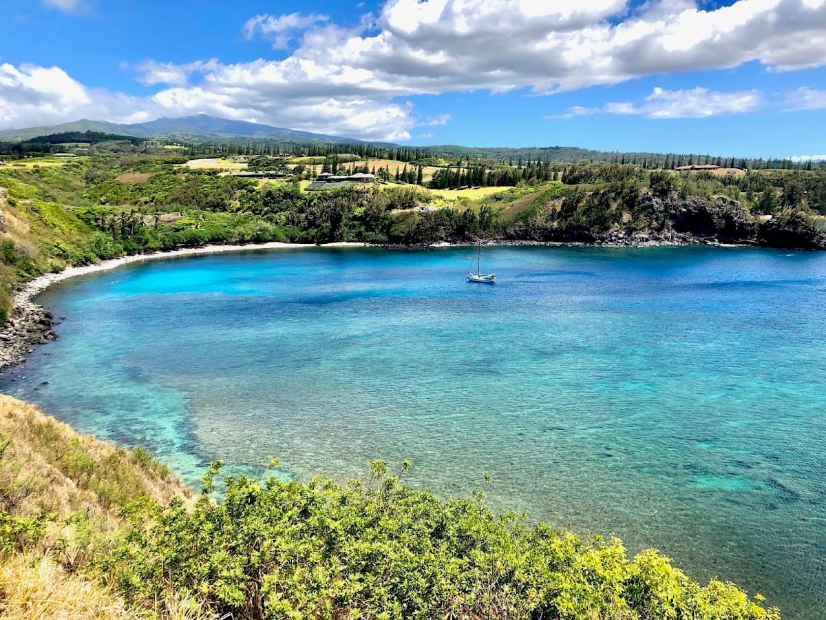 Honolua Bay Lookout