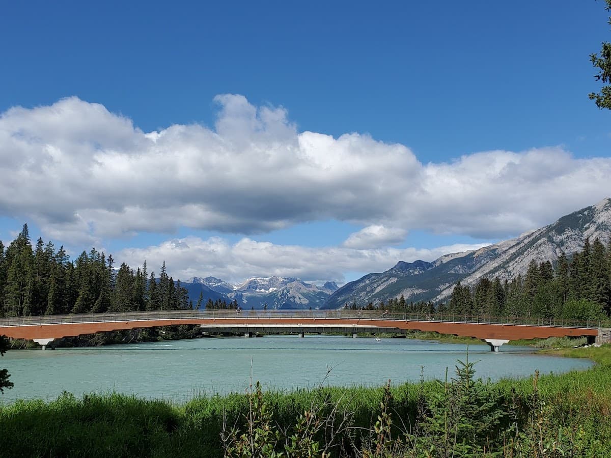 Horseback Ride Bow River