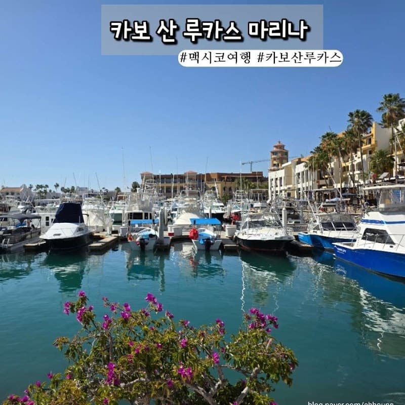 Hotel Marina Cabo San Lucas