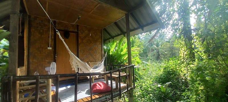 Hotel Pool & Jungle Garden Time