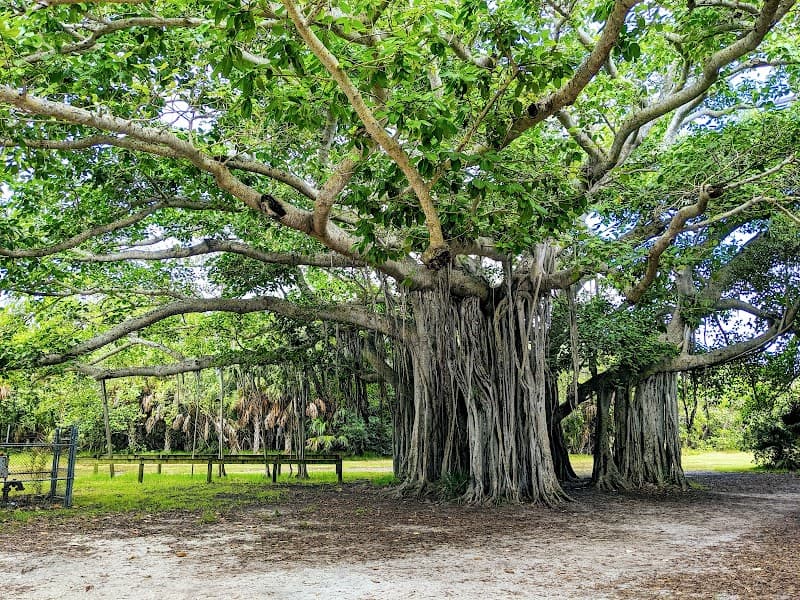 Hugh Taylor Birch State Park—Nature Walk & Kayak