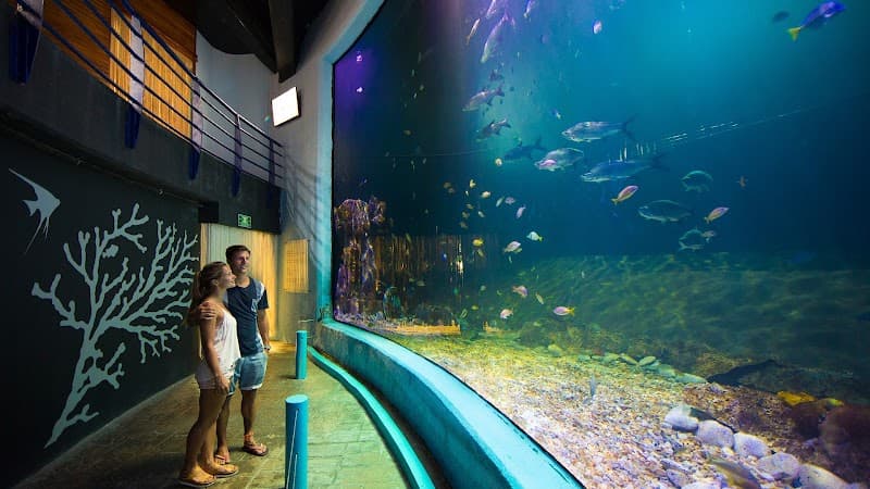 Interactive Aquarium