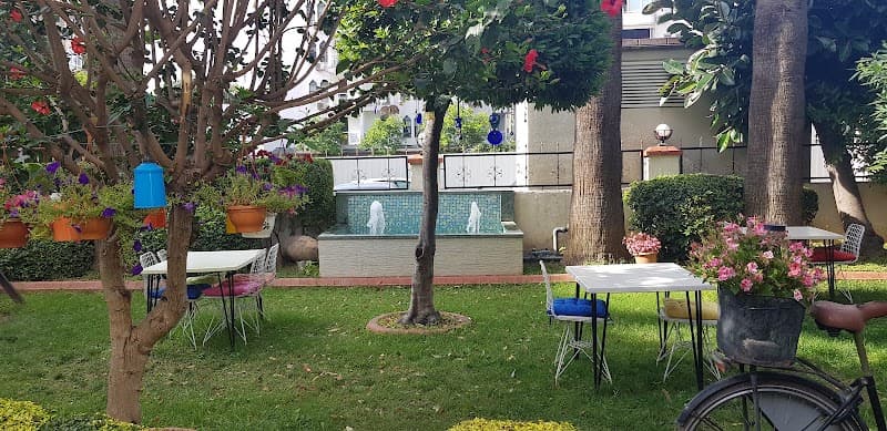 Introductory Turkish Cooking & Wine Tasting at Blue Heaven Apart