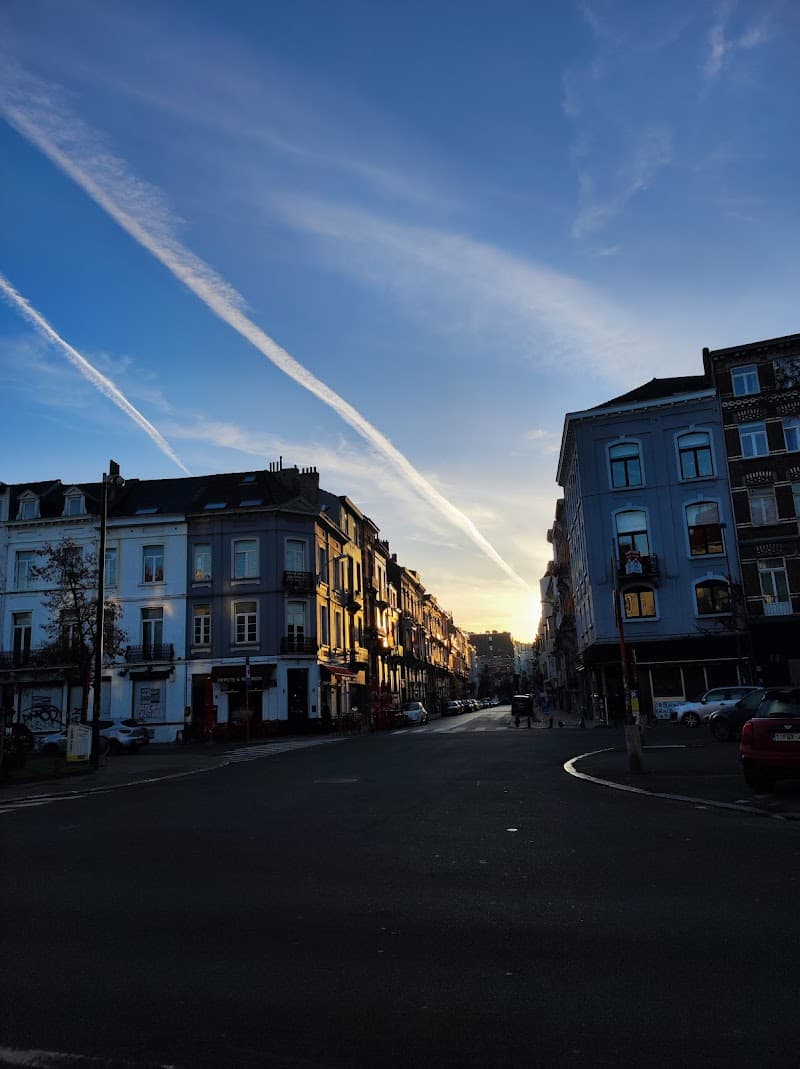 Ixelles Art Nouveau Walk & Place du Châtelain