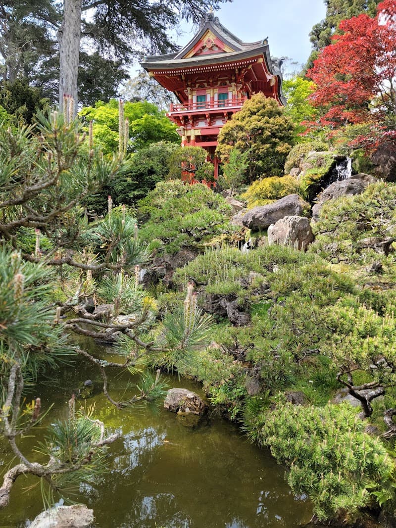 Japanese Tea Garden (outer section & paths)