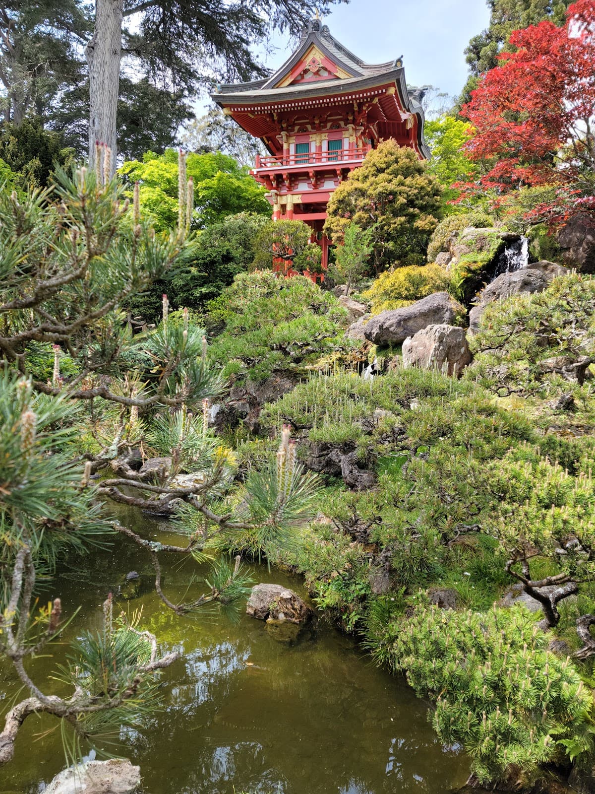 Japanese Tea Garden & Stow Lake