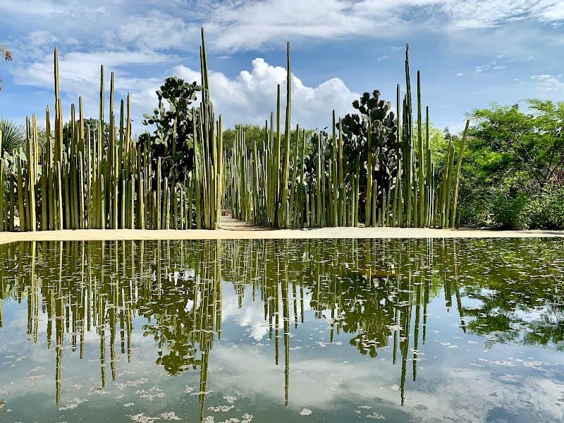 Jardín Etnobotánico de Oaxaca Guided Tour
