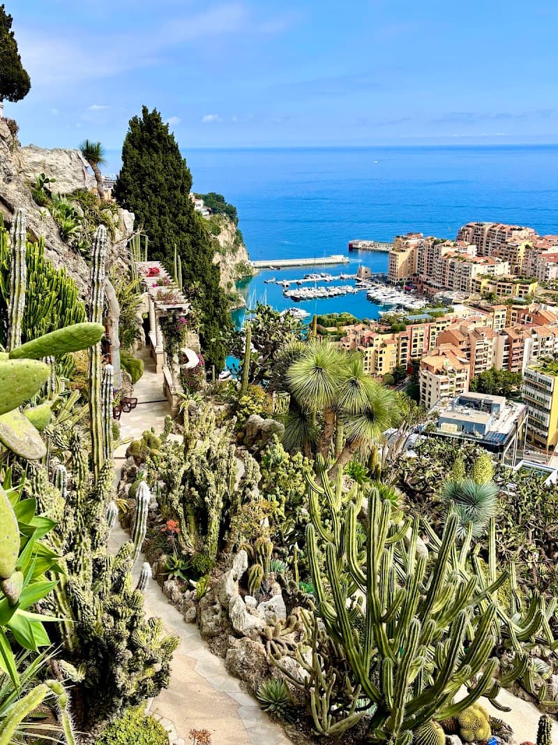 Exotic Garden of Monaco (Jardin Exotique)
