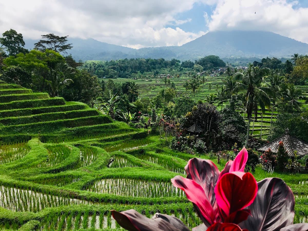 Jatiluwih Rice Terraces (UNESCO World Heritage Landscape)