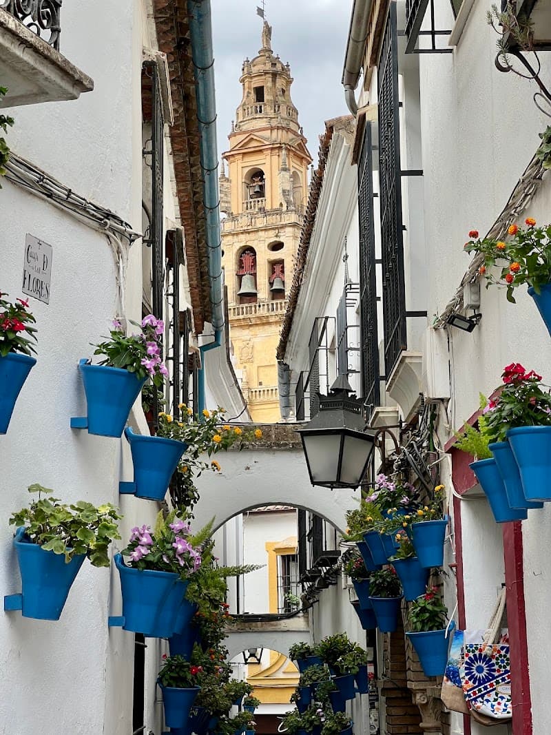 Calleja de las Flores