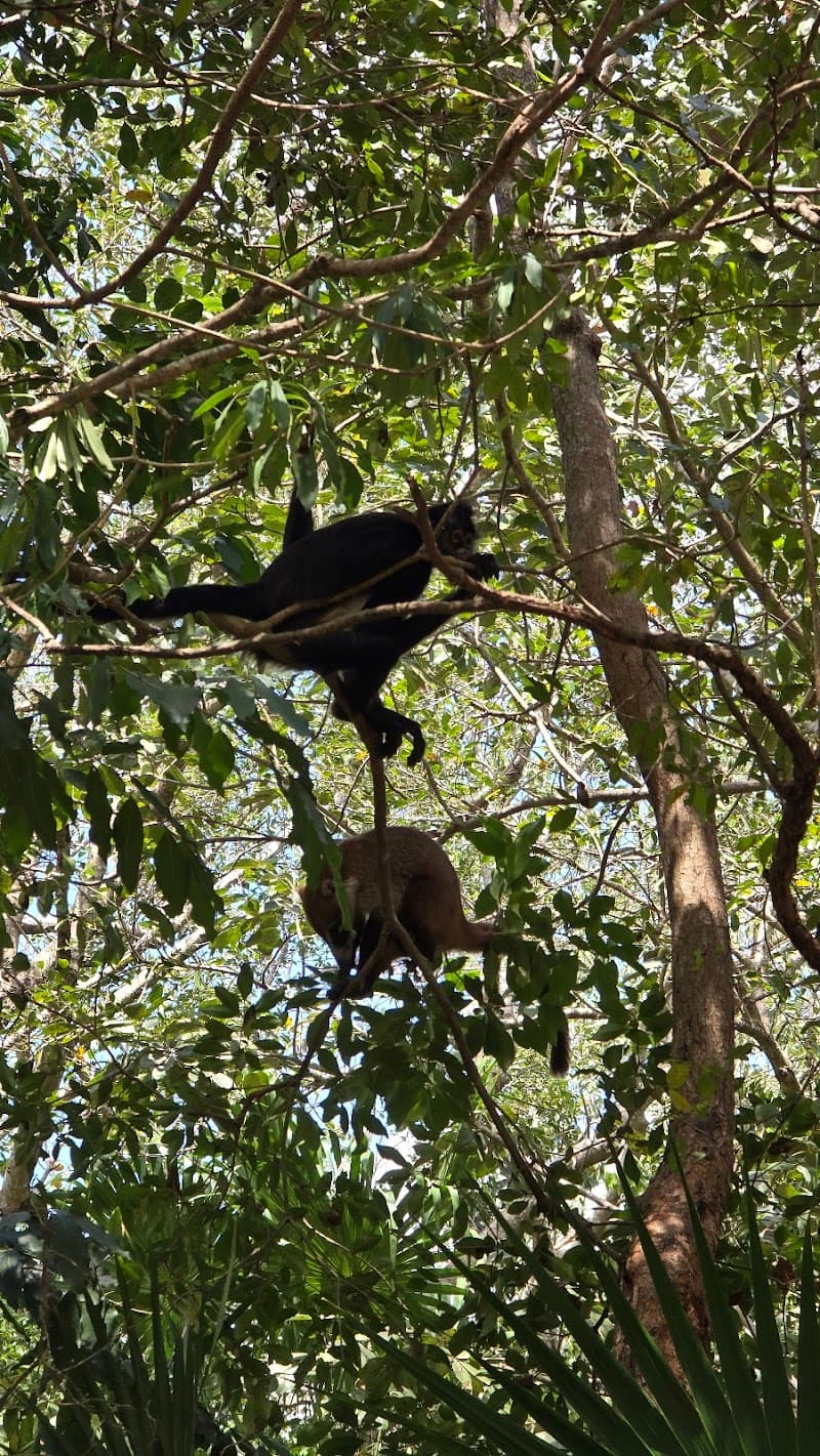 Kabah Park & Casa Maya Museum