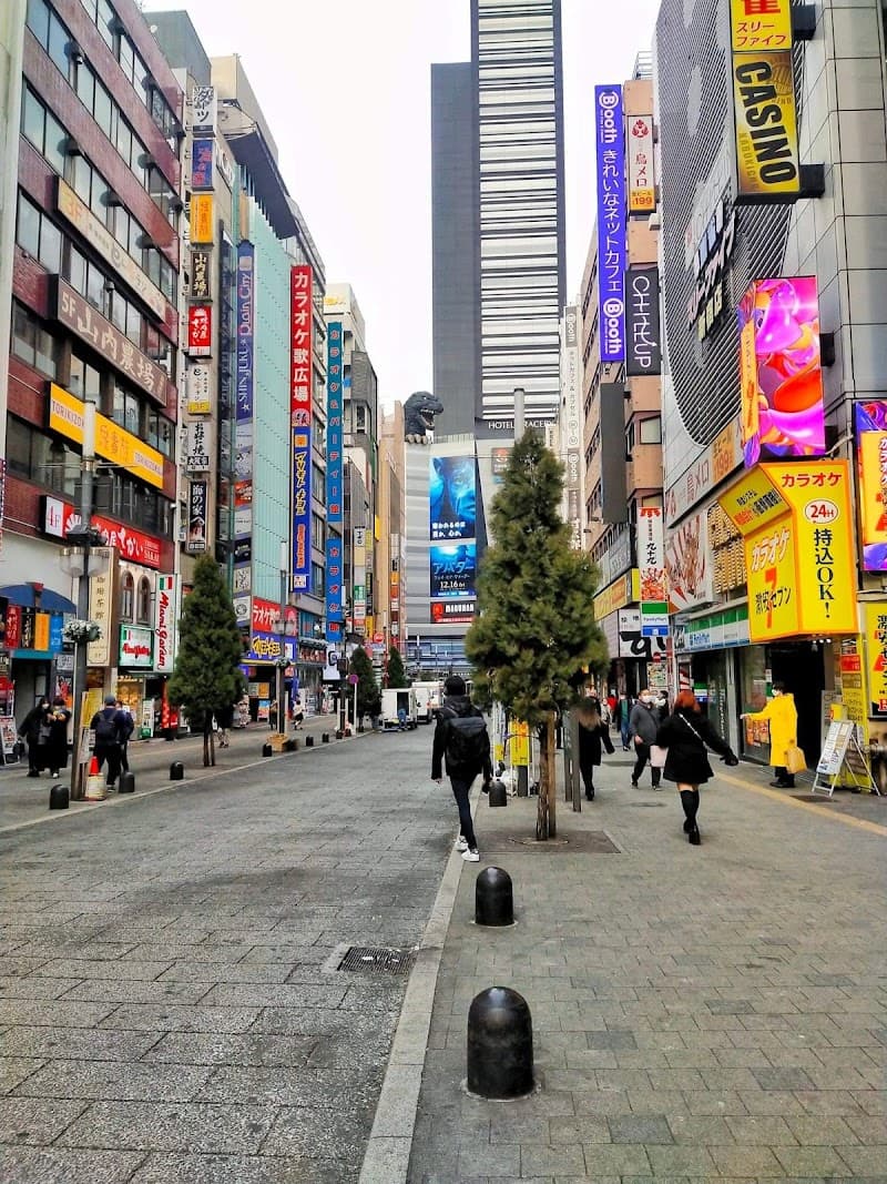 Kabukichō & Omoide Yokocho Walk