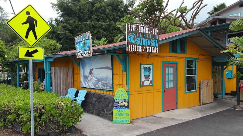 Kahalu‘u Bay Surfing or Snorkeling Session