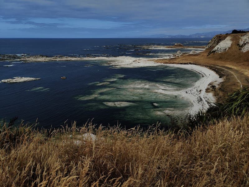 Kaikoura Peninsula Walkway (Short Sunset Section)