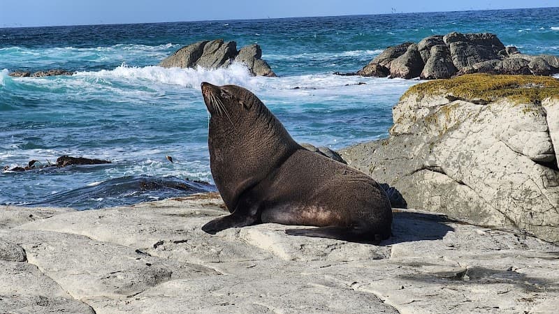 Kaikoura Wild Coast Family Adventure Week