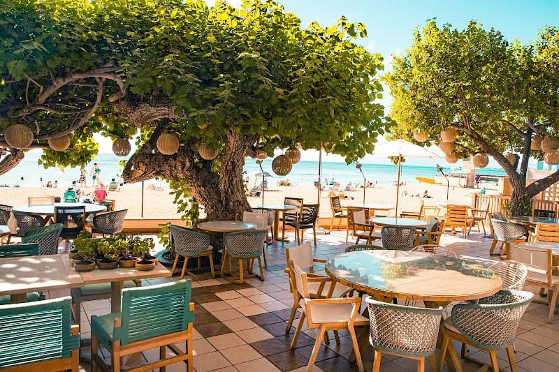 Kaimana Beach Hotel – Hau Tree
