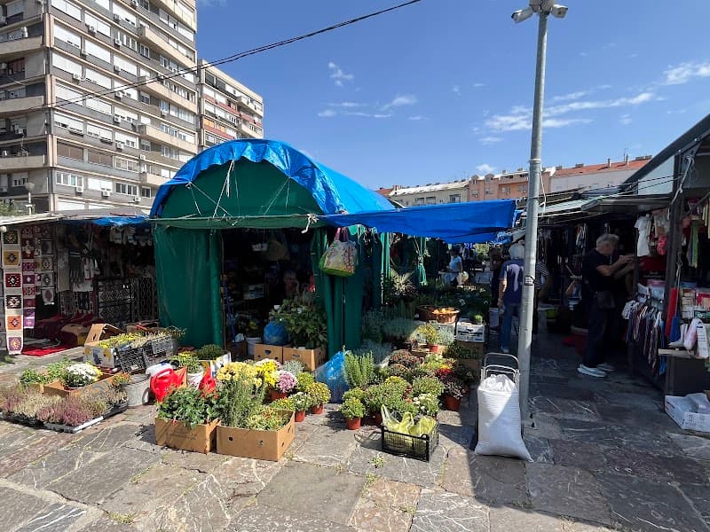Kalenić Market Morning Visit