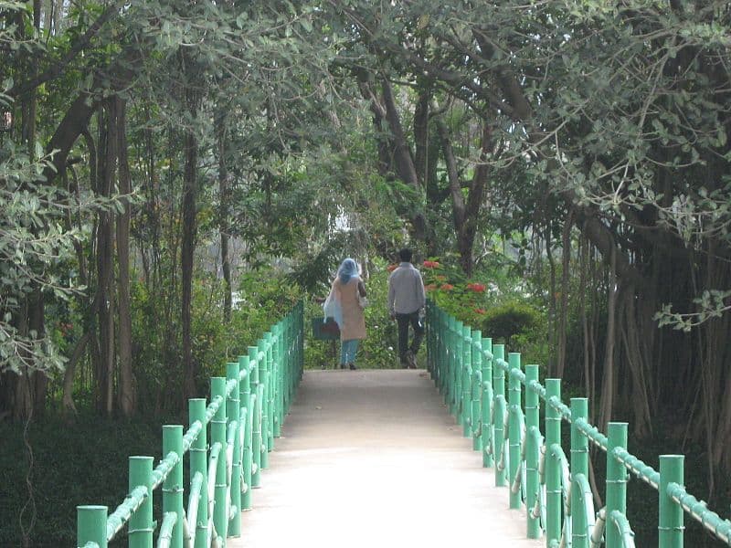 Karanji Lake & Butterfly Park