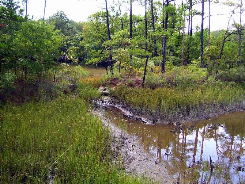 Kayak or SUP on Owls Creek