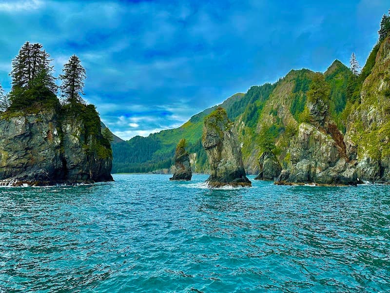 Kenai Fjords National Park Day Cruise (6–8 hours)