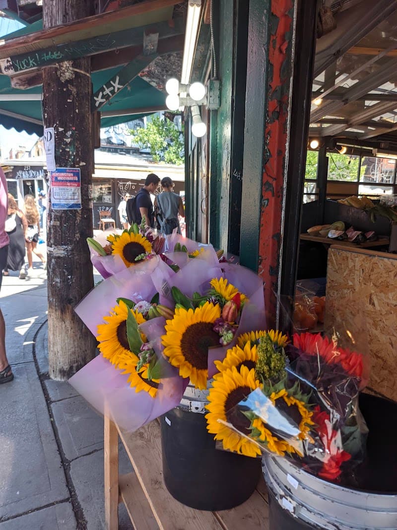 Kensington Market Street Wandering