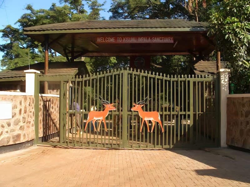 Kenya Wildlife Impala Sanctuary