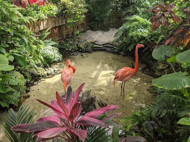 Key West Butterfly Conservatory Café