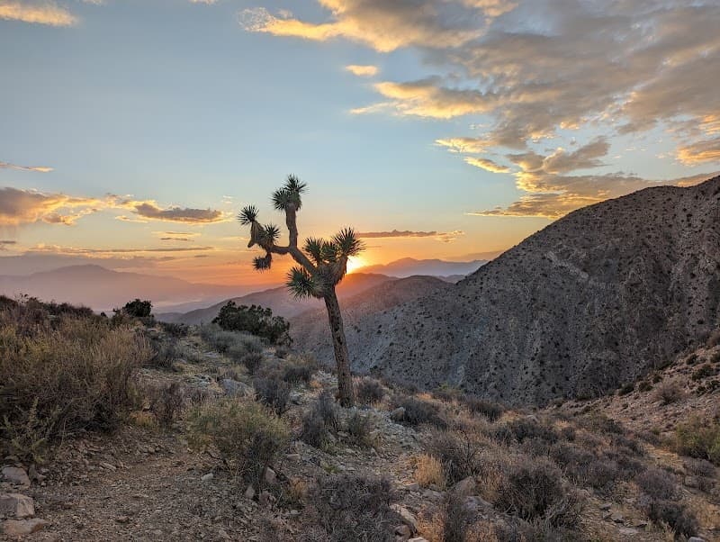 Keys View