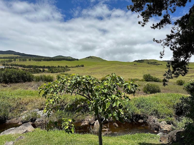 Kohala Waterfalls Adventure