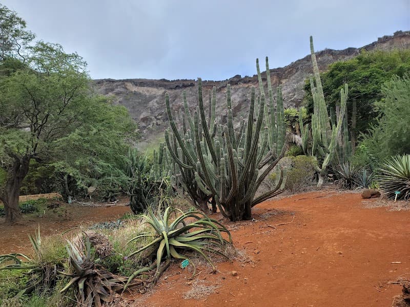 Koko Crater Botanical Garden
