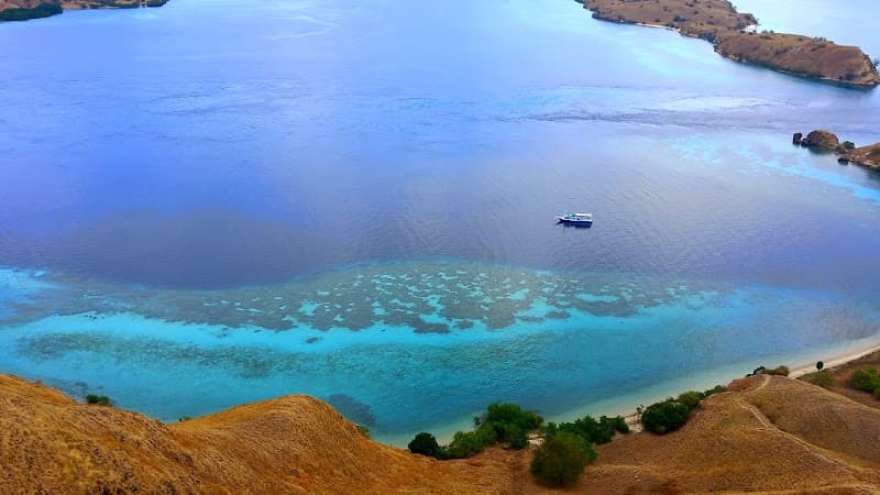 Komodo Island Ranger Trek