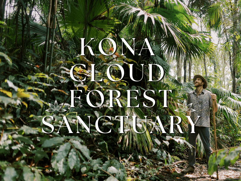 Kona Cloud Forest Guided Walking Tours