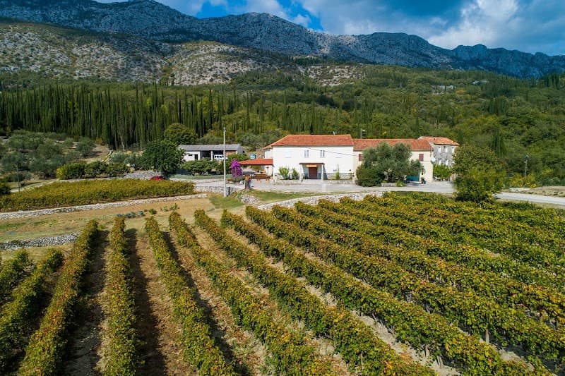 Konavle Wine Tasting
