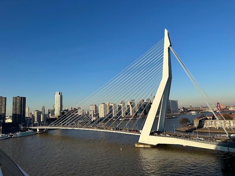 Kop van Zuid Sunset & Erasmus Bridge Walk
