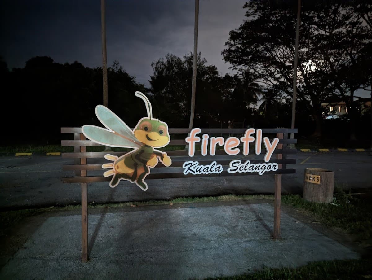 Kuala Selangor Fireflies Tour