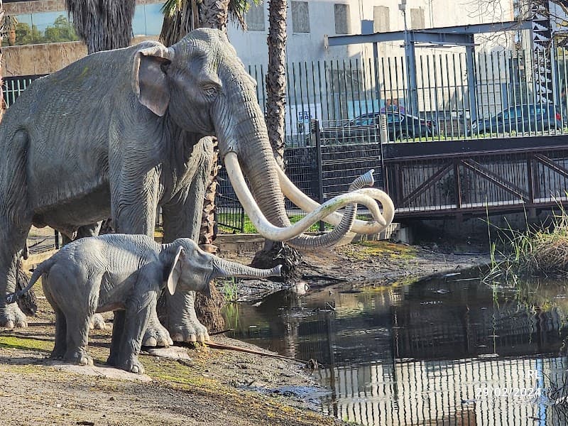 La Brea Tar Pits Park