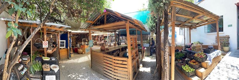 La Cosecha Organic Market (vegetarian stands)